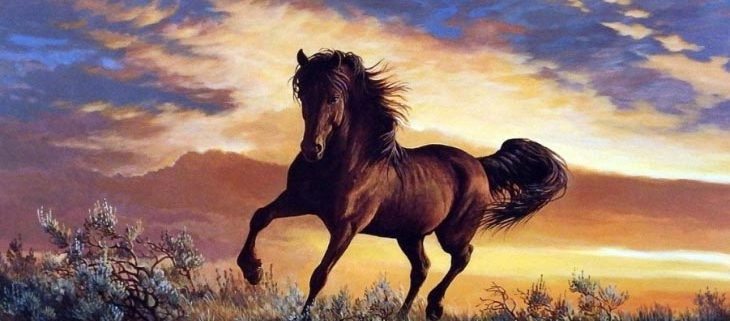Nằm mơ thấy ngựa đánh con gì? Điềm báo gì? 